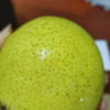 [苏鲜生]河北精品雪花梨 新鲜水果 松脆多汁 净重4.5-5.2斤 单果300g以上晒单图