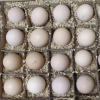 五个农民 30枚装 1200g农家散养草鸡蛋 现捡现发土鸡蛋 农家自养 新鲜营养晒单图