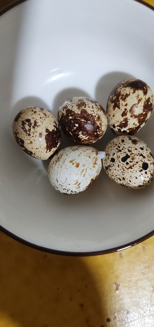[西沛生鲜]鹌鹑蛋 50枚 农家杂粮生态蛋孕妇宝宝辅食正宗土特产生蛋晒单图