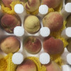 [苏鲜生]新鲜水蜜桃 蜜桃新鲜水果 净重5斤 大果 应季现摘脆甜毛桃子 整箱晒单图
