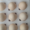 [可生食 出口级]晋龙新鲜鸡蛋30枚可生食六无蛋晒单图
