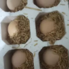 [农家自养]新鲜谷物蛋 30枚(45g左右) 草鸡蛋(破损必赔)农家土鸡蛋 陈小四水果晒单图