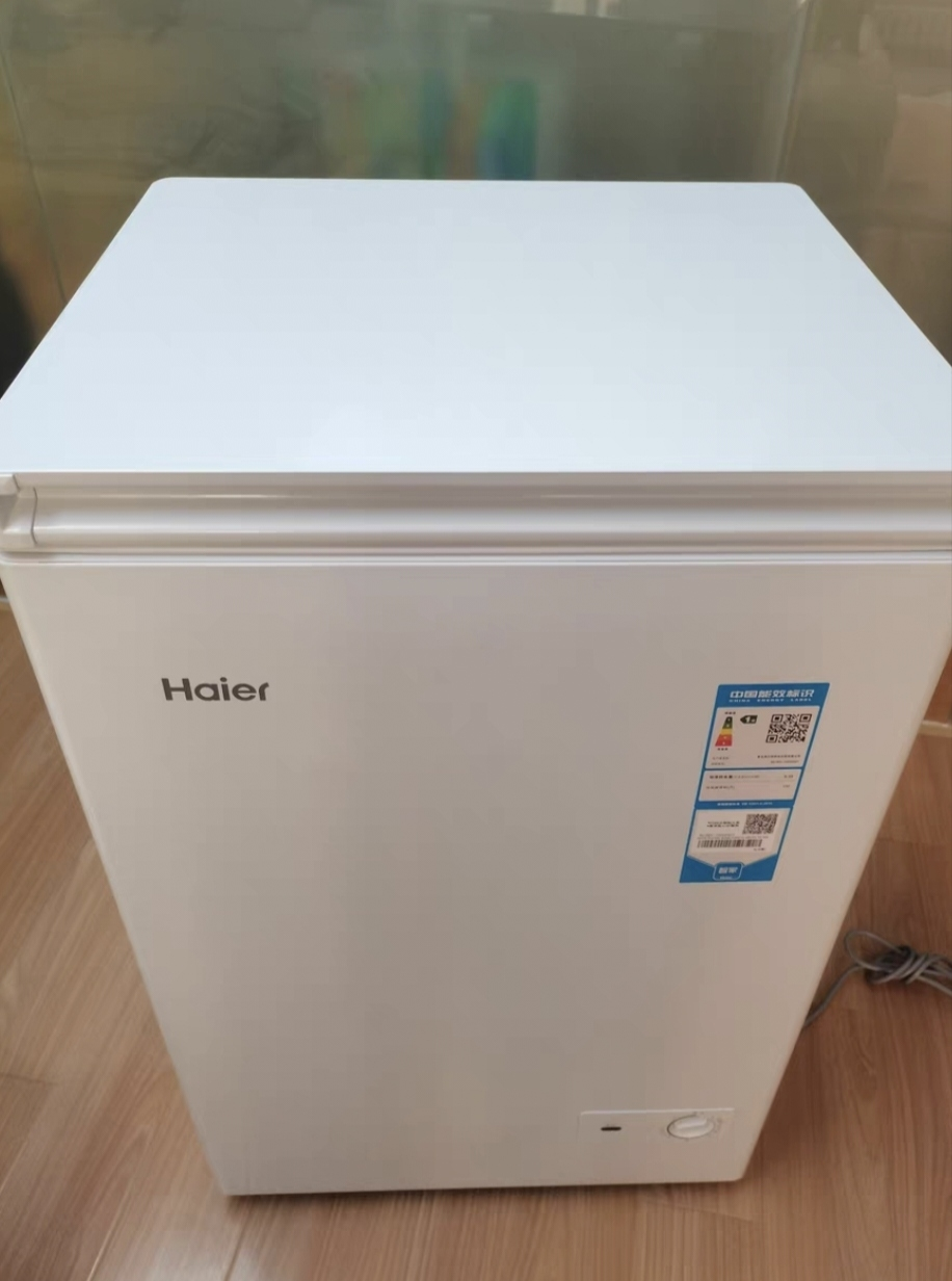 海尔(Haier)100升家用卧式冰柜 冷柜 小冰箱 1级能效晒单图