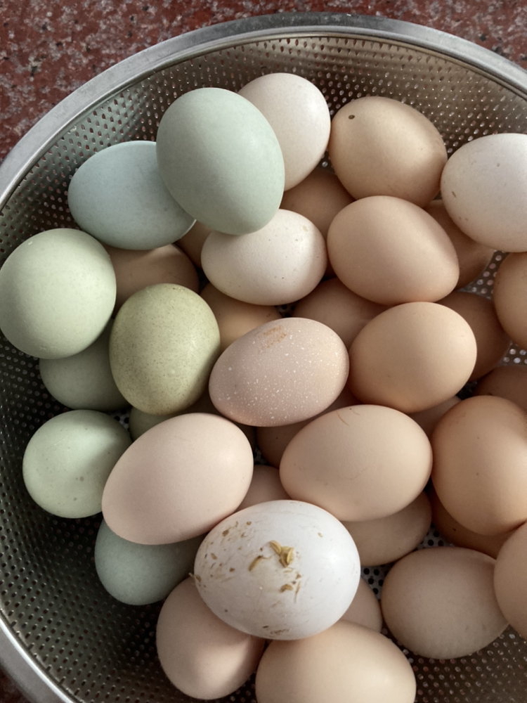[五彩土鸡蛋]农养绿壳乌鸡蛋土鸡蛋组合装40枚晒单图