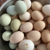 [五彩土鸡蛋]农养绿壳乌鸡蛋土鸡蛋组合装40枚晒单图