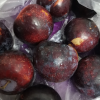 新鲜黑布林 5斤 李子 应季水果 陈小四水果 生鲜水果 特产晒单图