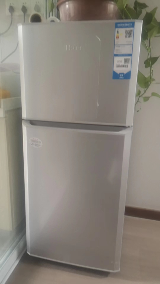 Haier/海尔 家用小冰箱租房118升小型双门冰箱宿舍家用直冷节能冷藏冷冻电冰箱BCD-118TMPA晒单图