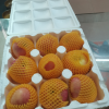 [苏鲜生] 山东烟台红富士 当季水果 净重4.5斤 大果 6-11个脆甜可口晒单图