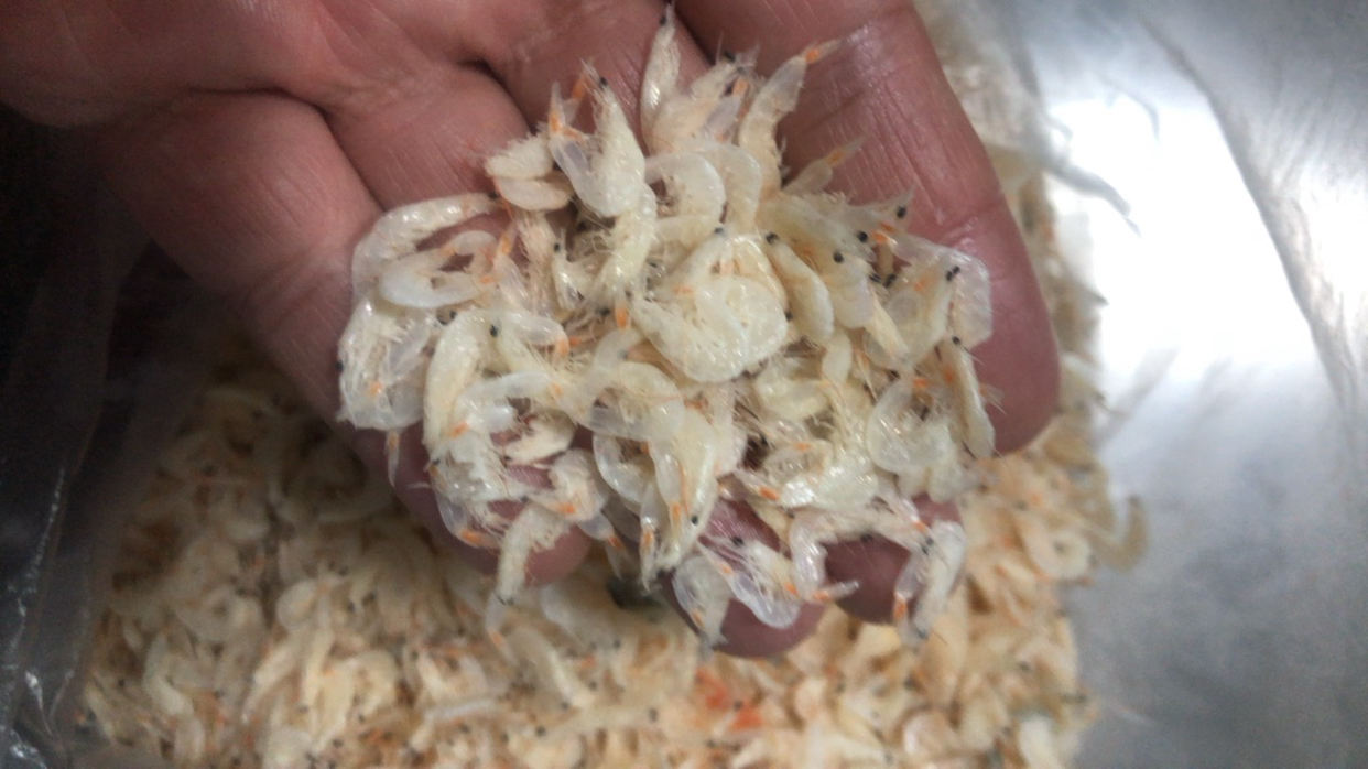 良时海 大连地标特产海鲜水产干货虾皮海米海鲜煲汤炒菜 虾皮200g/袋晒单图