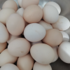 [农家自养]新鲜谷物蛋 30枚(45g左右) 草鸡蛋(破损必赔)农家土鸡蛋 陈小四水果晒单图