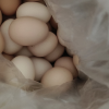 [西沛生鲜]新鲜 谷物蛋 30枚装 农家散养新鲜正宗草鸡蛋笨柴鸡蛋孕妇月子蛋整箱禽蛋晒单图