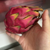 [西沛生鲜] 京都一号红心火龙果 净重4.8-5.2斤 大果 箱装 热带 水果 当季新鲜晒单图