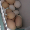 [西沛生鲜] 新鲜富硒鸡蛋 30枚 散养土鸡蛋 柴鸡蛋笨鸡蛋草鸡蛋整箱晒单图