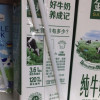 伊利金典纯牛奶250ml*12盒*3箱 3.6g乳蛋白 120mg原生高钙 礼盒装晒单图