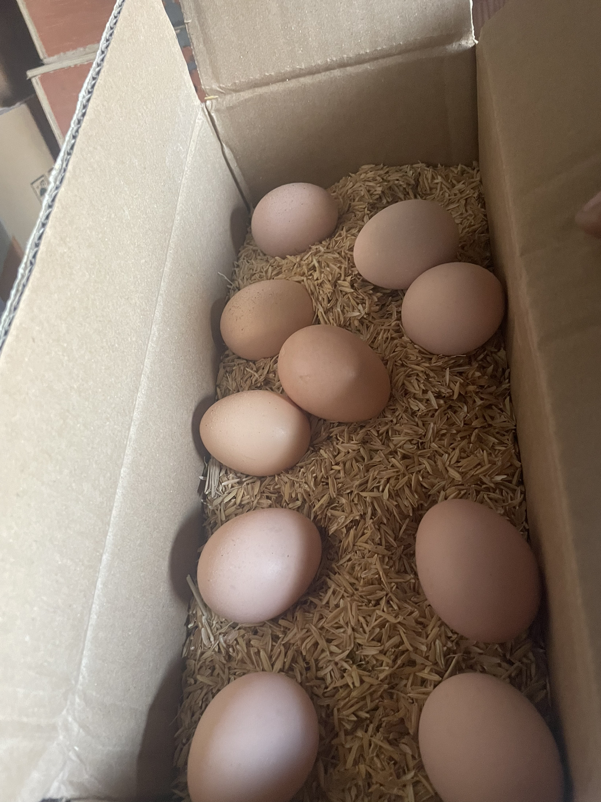 [西沛生鲜] 新鲜谷物鸡蛋 20枚 散养土鸡蛋柴鸡蛋笨鸡蛋草鸡蛋整箱晒单图