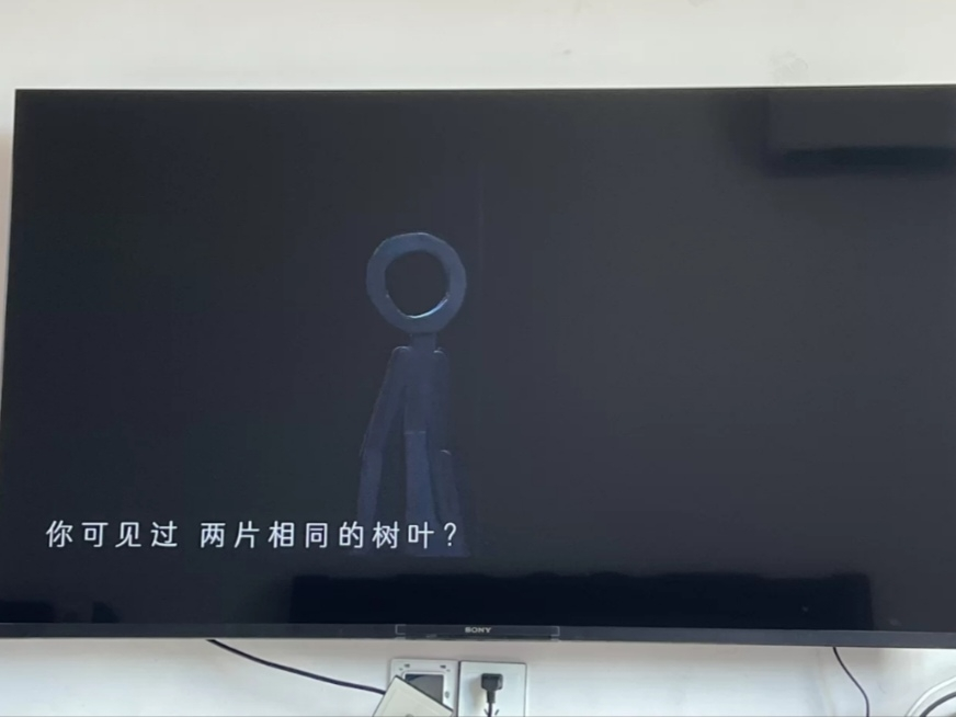 索尼(SONY)KD-65X80L 65英寸 高色域智能电视专业画质芯片 杜比视界4KHDR液晶全面屏(X80K升级款)晒单图