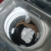 海尔(Haier)9公斤波轮洗衣机直驱变频 智能称重 量衣进水 智能预约 飘甩二合 一级能效 新品晒单图