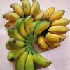 鲜木 广西小米蕉 自然熟芭蕉皇帝蕉苹果蕉 牛奶小米香蕉 新鲜当季水果精选5斤装晒单图