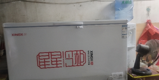 星星(XINGX) BD/BC-355E 355L 卧式 冷柜 冰柜 卧式冷柜 大冰柜商用 强冷冻设计 机械控温晒单图