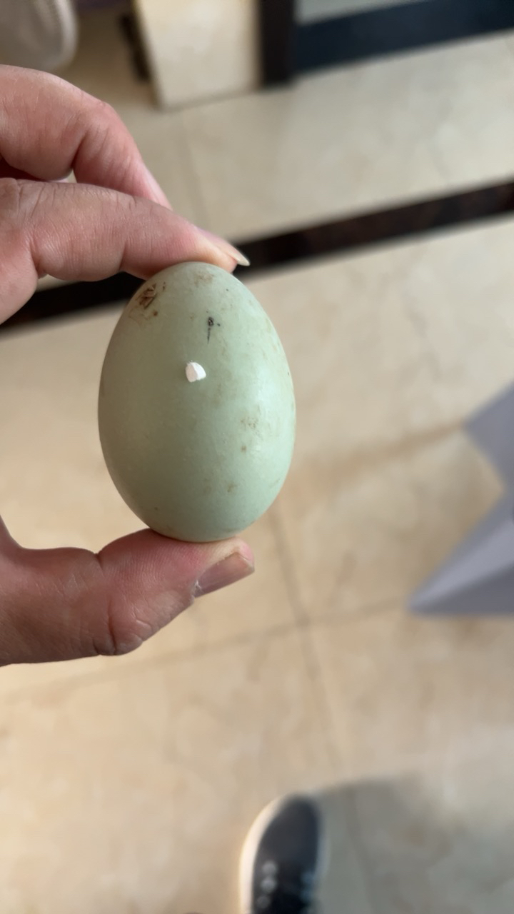 [西沛生鲜]河南 新鲜生鸭蛋 30枚 50-60g/个 农家散养新鲜正宗土鸭子晒单图
