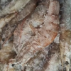五个农民青岛大虾 盐冻大虾3.5斤装12-15cm 顺丰速运晒单图