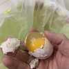 [西沛生鲜]鸡蛋变蛋 20枚 变鸡蛋皮蛋变蛋无铅溏心整箱晒单图