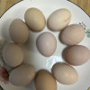 桃小淘 农家生态土鸡蛋20枚装 新鲜鸡蛋草鸡蛋笨鸡蛋晒单图