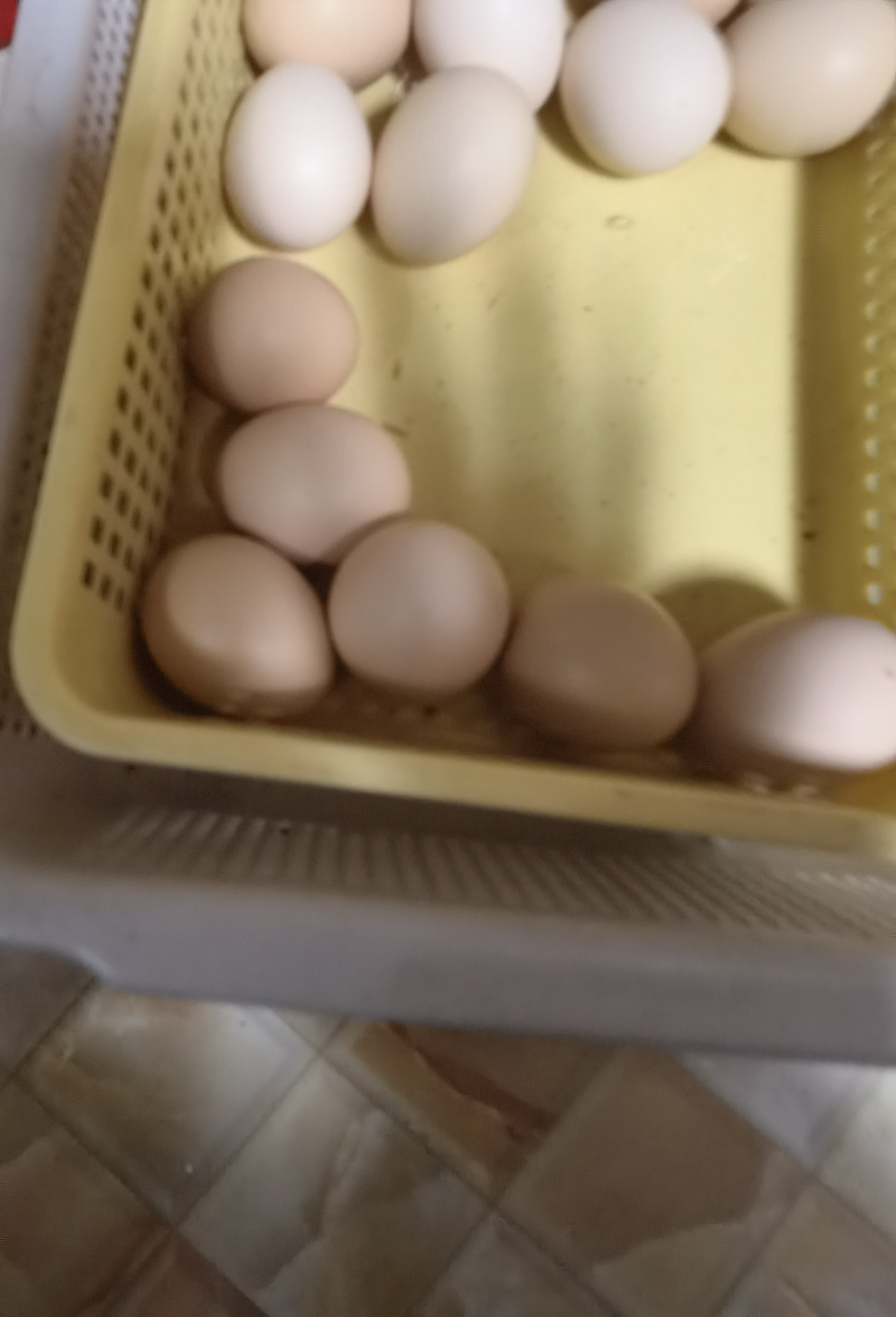 [五个农民]现捡现发 营养丰富皖南九华山散养土鸡蛋 40枚装晒单图