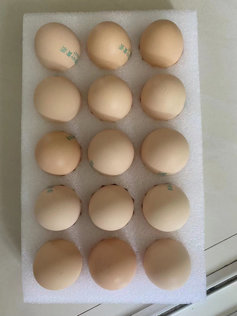 五个农民 20枚装 800g农家散养草鸡蛋 现捡现发土鸡蛋 农家自养 营养美味晒单图