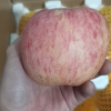 [西沛生鲜]正宗陕西洛川红富士苹果 净重5斤 大果 单果80-85mm 新鲜时令水果当季整箱晒单图