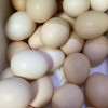 [西沛生鲜]新鲜土鸡蛋 20枚装 农家散养 新鲜正宗草鸡蛋笨柴鸡蛋孕妇月子蛋整箱禽蛋晒单图