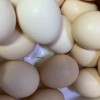 [西沛生鲜]新鲜土鸡蛋 20枚装 农家散养 新鲜正宗草鸡蛋笨柴鸡蛋孕妇月子蛋整箱禽蛋晒单图