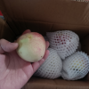 [苏鲜生] 新鲜水蜜桃 蜜桃新鲜水果 净重3斤装 中果 应季现摘脆甜毛桃子 整箱晒单图