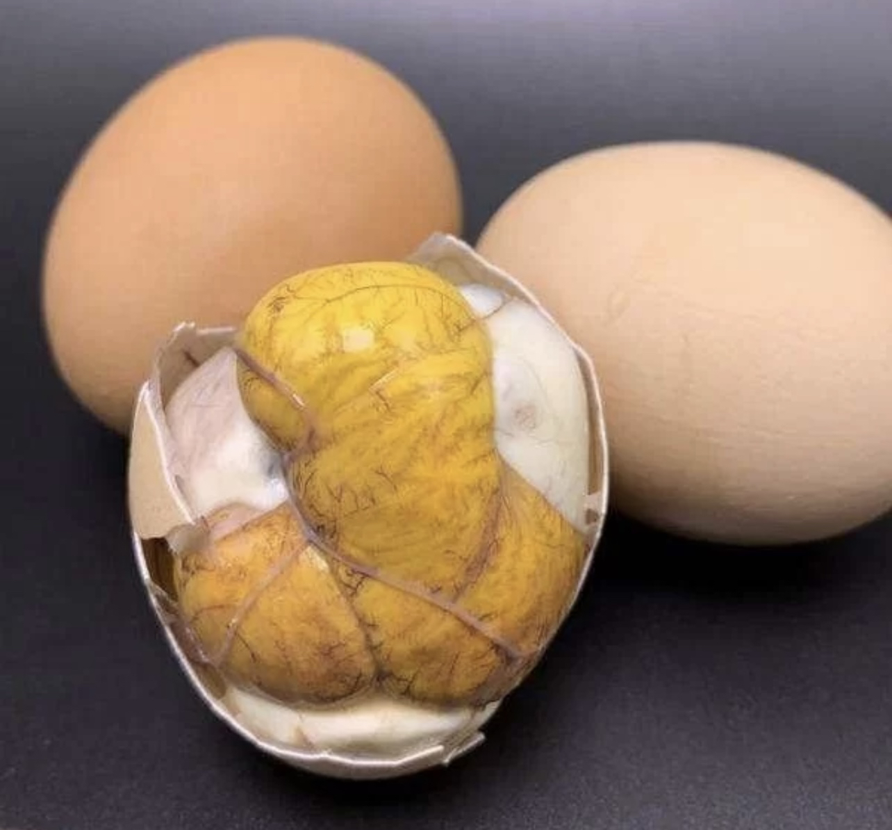新鲜13天活珠子10枚鸡胚蛋开袋即食熟凤凰蛋钢化蛋毛蛋晒单图