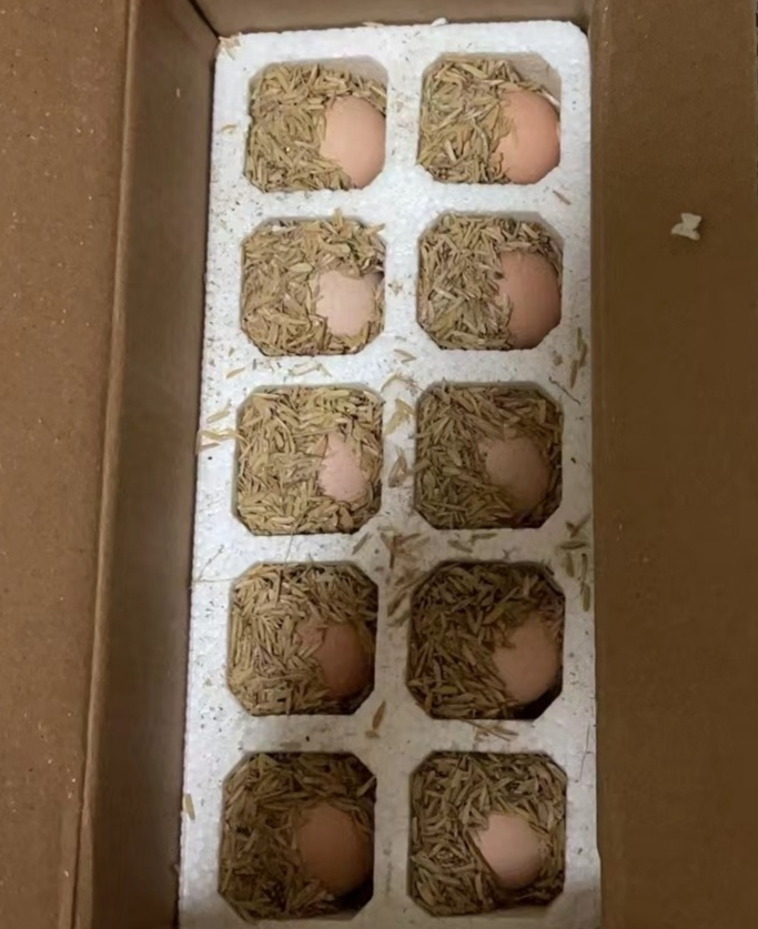 [西沛生鲜]新鲜虫草鸡蛋 30枚装 农家散养新鲜正宗草鸡蛋笨柴鸡蛋孕妇月子蛋整箱禽蛋晒单图
