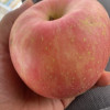 [苏鲜生]山东烟台红富士 当季水果 净重4.5斤 特大果 5-9个 脆甜可口晒单图