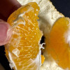 [西沛生鲜]四川不知火柑橘 净重9斤 特大果 果径80mm以上 箱装 丑橘 橘子 新鲜应季水果 西沛晒单图