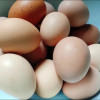 汇尔康(HR)土鸡蛋 新鲜草鸡蛋30枚 农家散养 柴鸡蛋笨鸡蛋月子蛋 非鸭蛋鹅蛋鹌鹑蛋晒单图