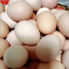 汇尔康(HR)土鸡蛋 新鲜草鸡蛋30枚 农家散养 柴鸡蛋笨鸡蛋月子蛋 非鸭蛋鹅蛋鹌鹑蛋晒单图