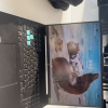华硕天选5 Pro 14代酷睿i9 16英寸电竞游戏本 笔记本电脑(i9-14900HX 16G 1T RTX4060 16:10 2.5K 165Hz高色域)灰晒单图