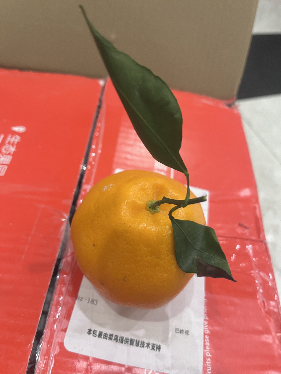 [鲜贝达]四川春见耙耙柑8.5斤装(75-80mm) 新鲜水果 柑橘子橙子 维C VC晒单图