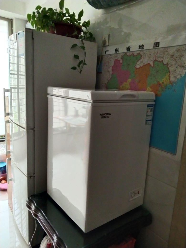 澳柯玛100升冷柜家用小冰柜全冷冻冷藏两用卧式一级单温冷柜冰箱晒单图