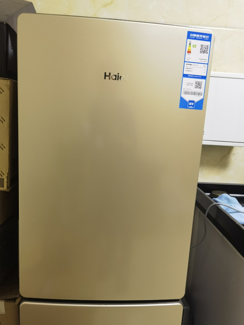 海尔(Haier)170升两门冰箱 风冷无霜 净味保鲜 低温补偿 租房小冰箱 BCD-170WDPT晒单图