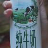 伊利金典纯牛奶250ml*12盒*3箱 3.6g乳蛋白 120mg原生高钙 礼盒装晒单图