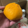 [西沛生鲜]四川不知火柑橘 净重3斤 特大果 果径80mm以上 箱装 丑橘 橘子 新鲜应季水果 西沛晒单图