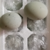 松花蛋糖心皮蛋20枚装 50-60克 农家散养麻鸭蛋变蛋特产晒单图