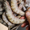 五个农民黑虎虾 L号大虾16-18cm 两盒装 顺丰速运 鲜活新鲜超大号虾晒单图