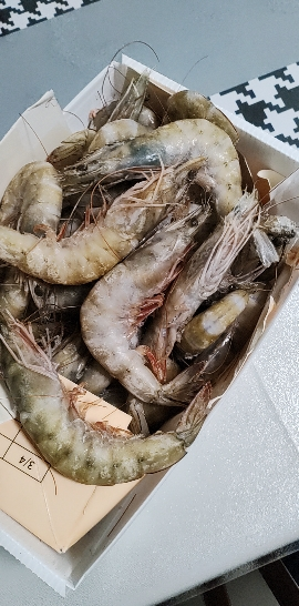 五个农民黑虎虾 L号大虾16-18cm 两盒装 顺丰速运 鲜活新鲜超大号虾晒单图