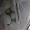 [苏鲜生]顺丰快递 新鲜绿壳鸡蛋 20枚装 农家散养新鲜正宗草鸡蛋笨柴鸡蛋孕妇月子蛋整箱禽蛋晒单图