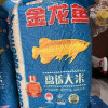 金龙鱼盘锦大米5kg/10斤东北大米蟹田米珍珠米粒软棉米饭细腻低氧晒单图